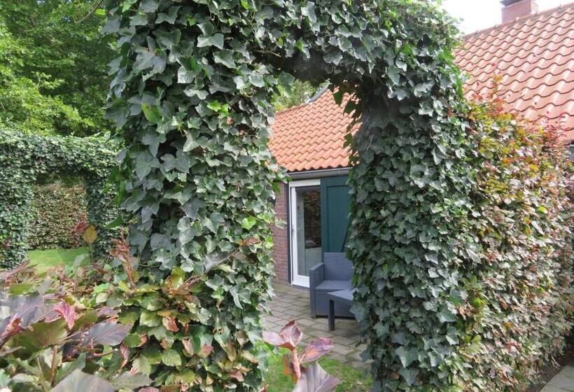 اتاق اکونومی, B&b De Willemshoeve