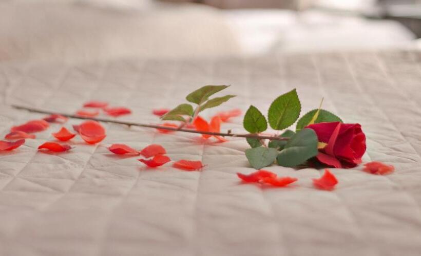 バスタブ付きスタンダードルーム, Chao Nl 24 Hours Open