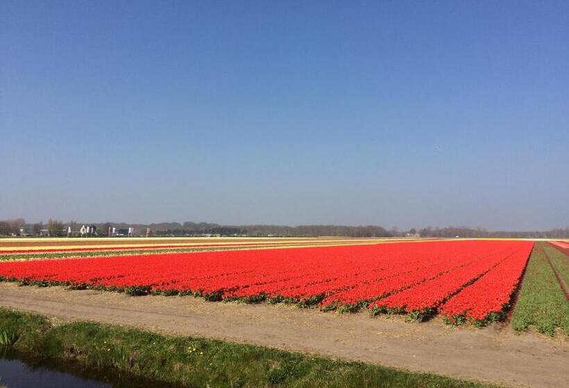 חדר סטנדרט, Bed & Breakfast De Vier Seizoenen