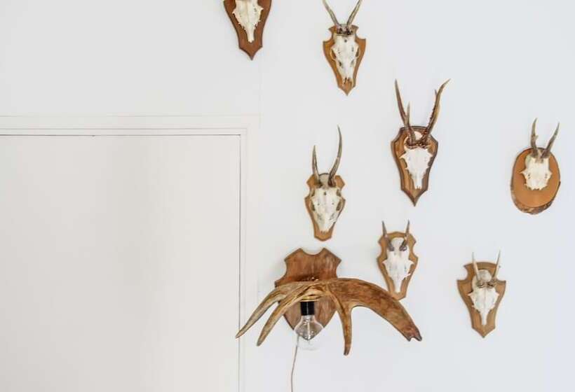 חדר דלוקס, De Lochemse Berg