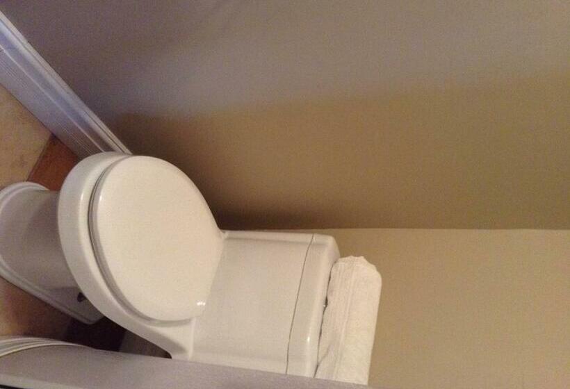 スタンダードルーム, Gîte Du Caméléon