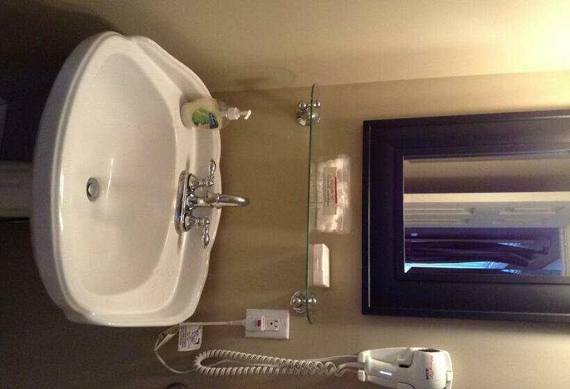 スタンダードルーム, Gîte Du Caméléon