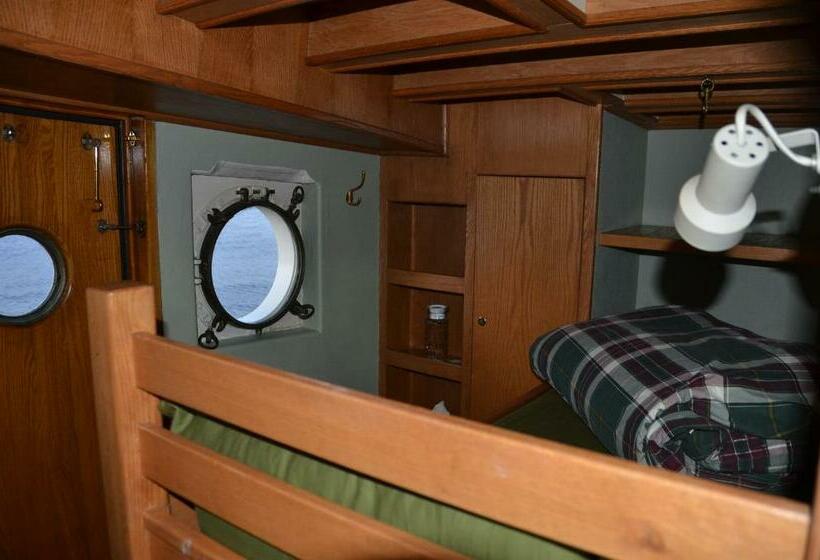 Standard Værelse m. Havudsigt, Swept Away Inn