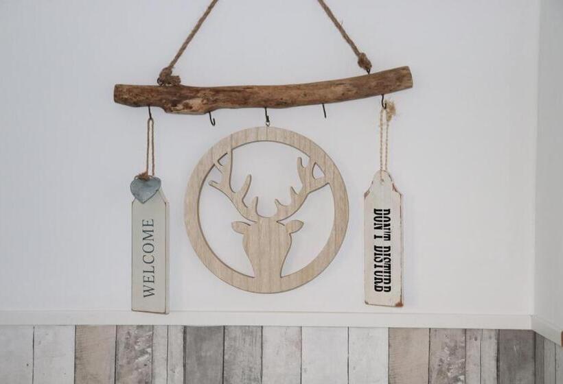 Студия Стандарт, Bed & Breakfast Hotel Zandvoort