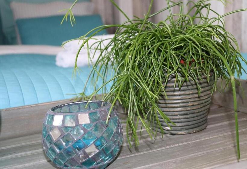 Студия Стандарт, Bed & Breakfast Hotel Zandvoort