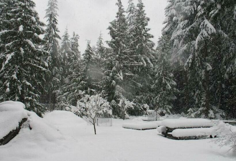 디럭스 룸 가든 전망, Cedar Song B&b