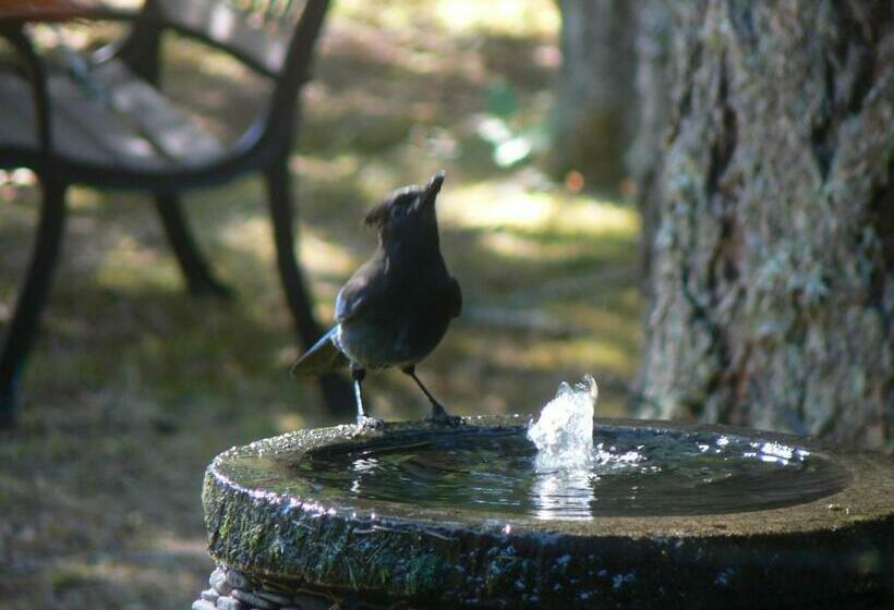 디럭스 룸 가든 전망, Cedar Song B&b