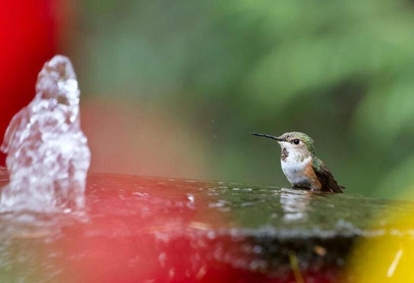 스탠다드 룸 가든 전망, Cedar Song B&b