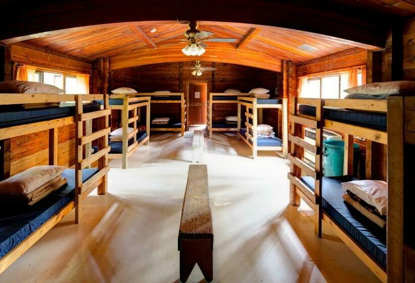 Säng i Delat Rum, Hi Athabasca Falls   Hostel