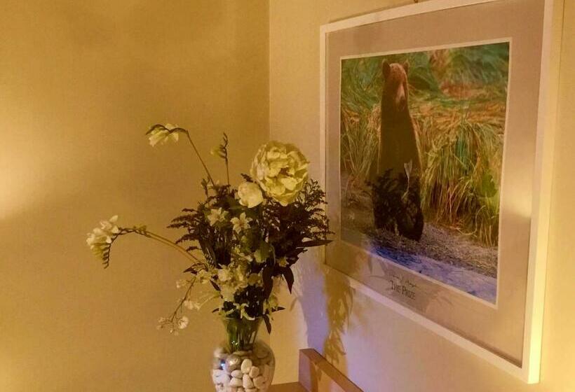 StandaardKamer, High Hopes Bed And Breakfast