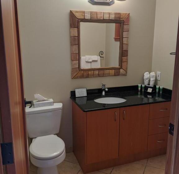 豪华套房, Moon Water Lodge