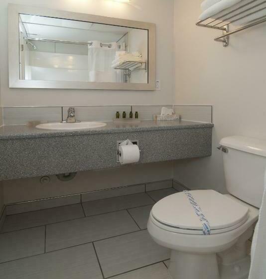 Standart Oda, The View