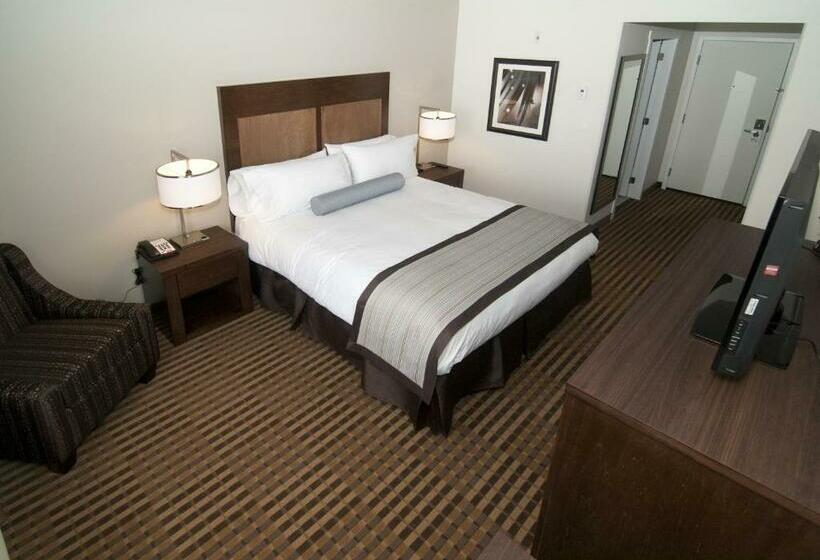 Standart Oda, The View