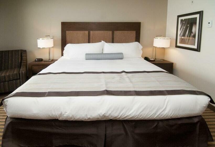 Standart Oda, The View