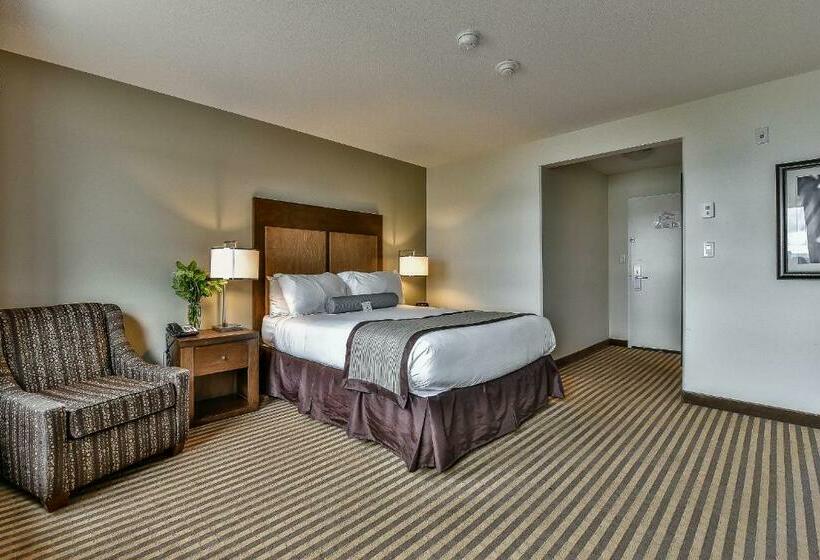 Superior Oda, The View