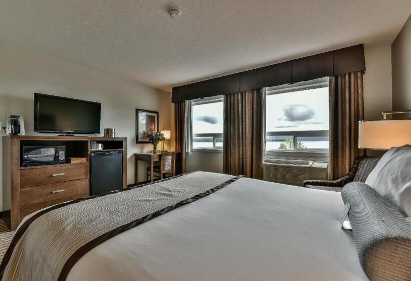 Superior Oda, The View