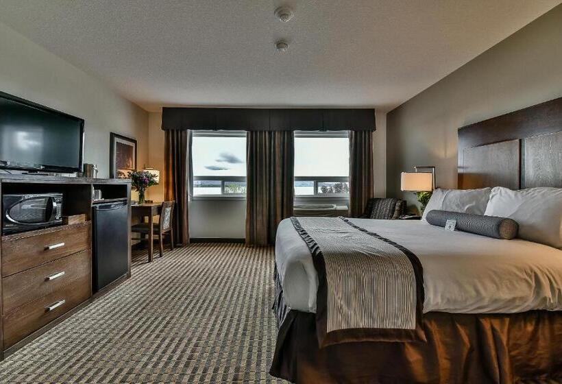 Superior Oda, The View