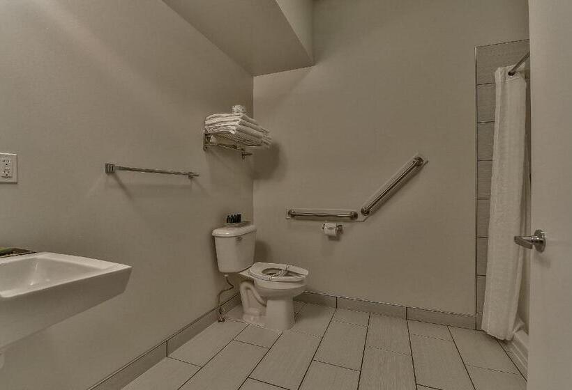 Delüks Oda, The View