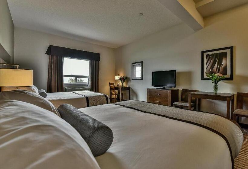 Delüks Oda, The View