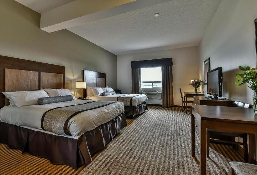 Delüks Oda, The View