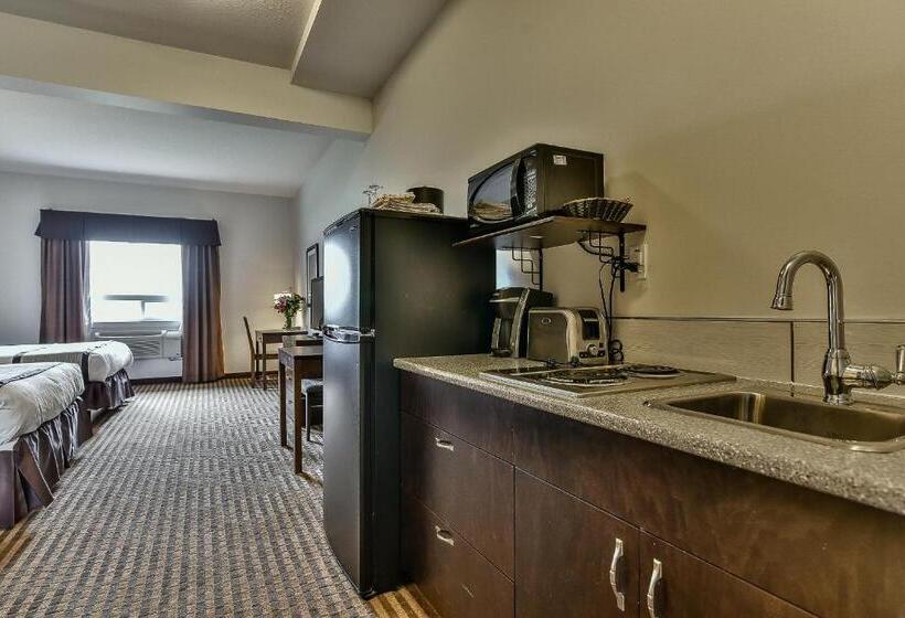 Delüks Oda, The View