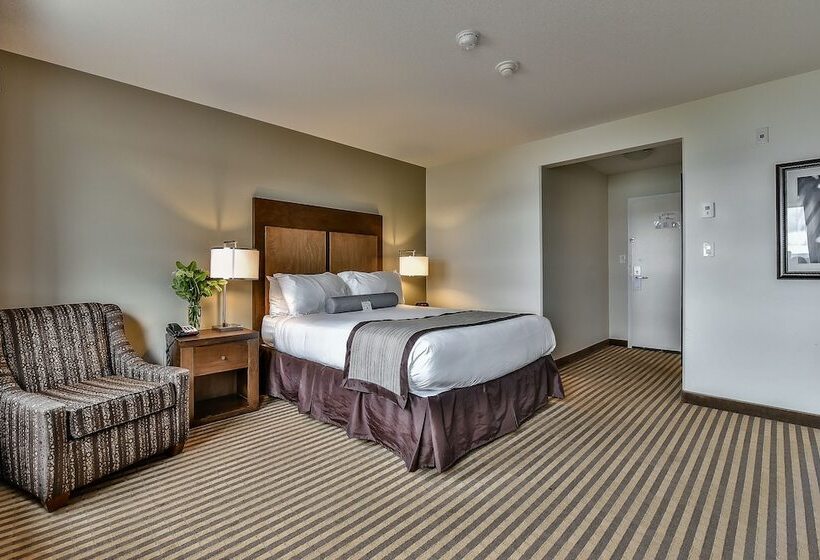 Superior Oda, The View