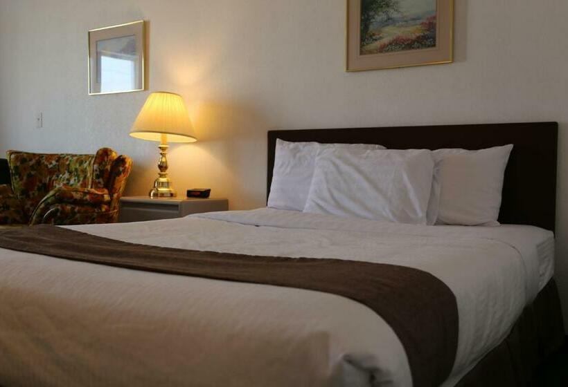 חדר סטנדרט, Didsbury Country Inn