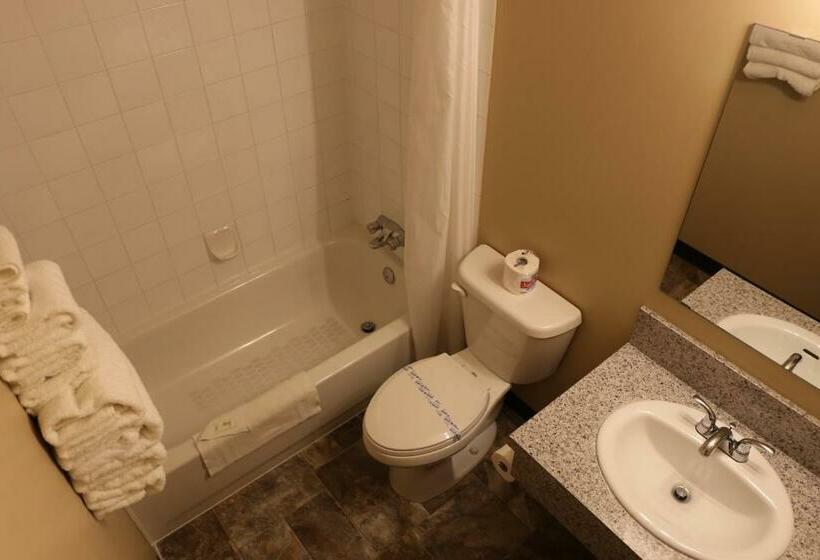 Номер Стандарт, Didsbury Country Inn