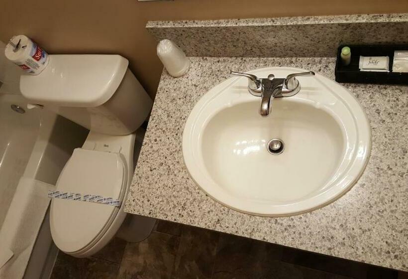 חדר סטנדרט, Didsbury Country Inn