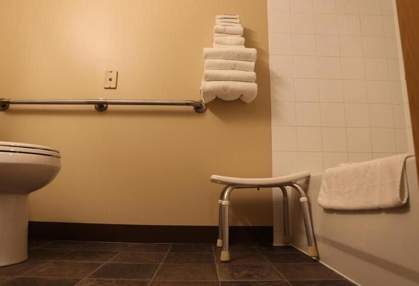 חדר סטנדרט, Didsbury Country Inn