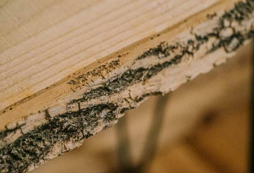 غرفة ديلوكس مطلّة علي البحر, Nordet