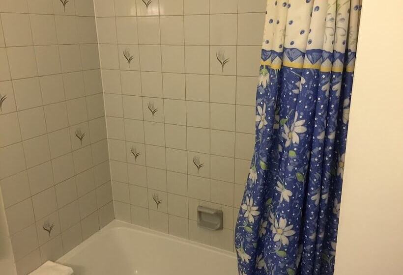 带2个双人床的标准工作室, Motel St Thomas