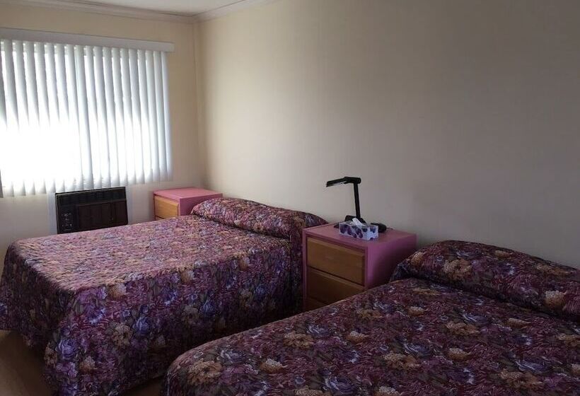 带2个双人床的标准工作室, Motel St Thomas