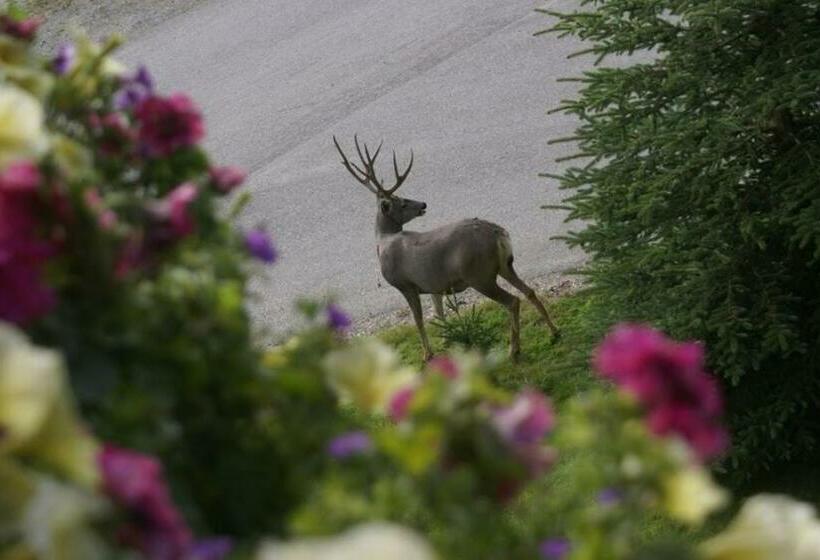 חדר סטנדרט עם מרפסת, Alpenglow Bed And Breakfast