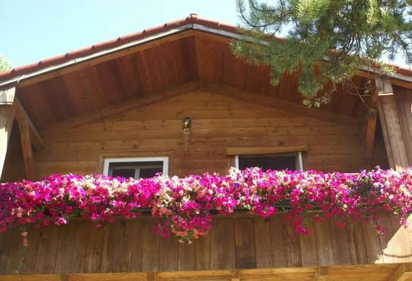 Standard-huone Parveke, Alpenglow Bed And Breakfast