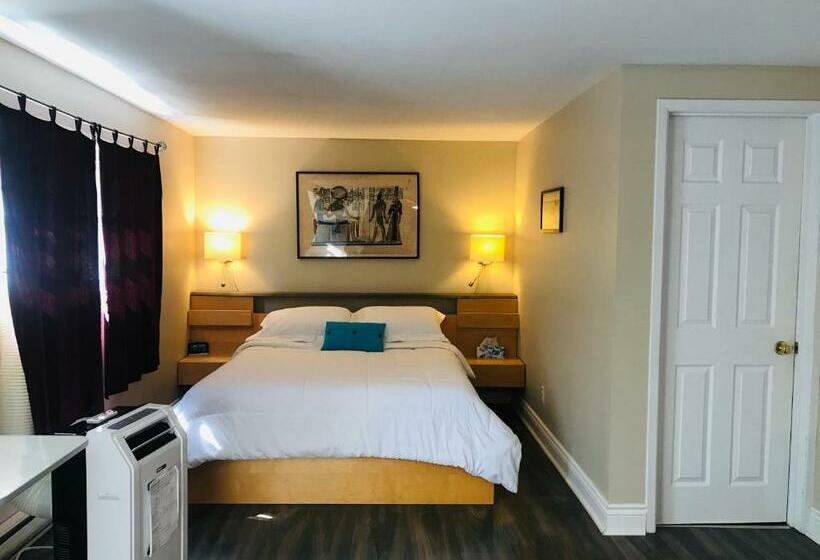 스탠다드 스튜디오, Auberge De Mon Petit Chum B&b
