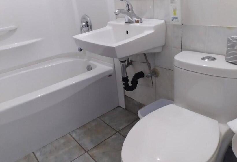 Номер Стандарт, Dolphin Motel