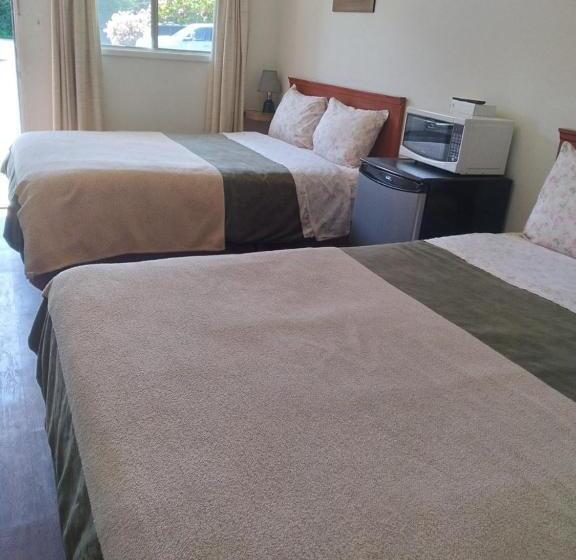 Номер Стандарт, Dolphin Motel