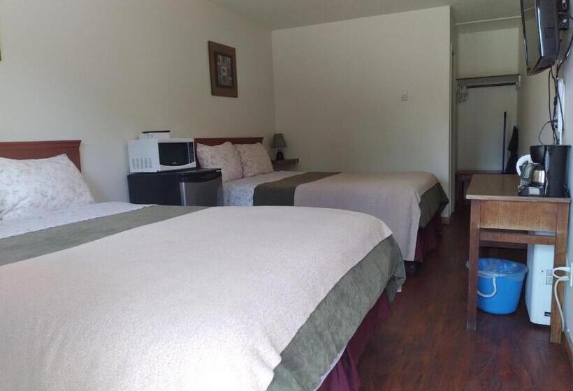 标准间, Dolphin Motel