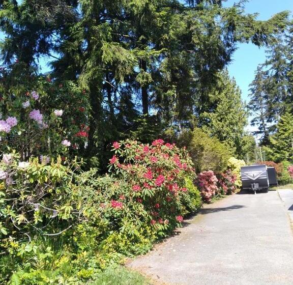 Номер Стандарт, Dolphin Motel