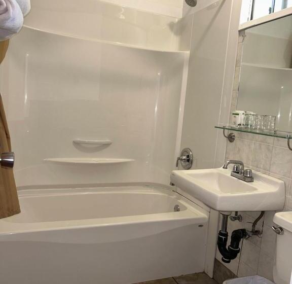 Номер Стандарт, Dolphin Motel