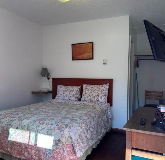 Номер Стандарт, Dolphin Motel