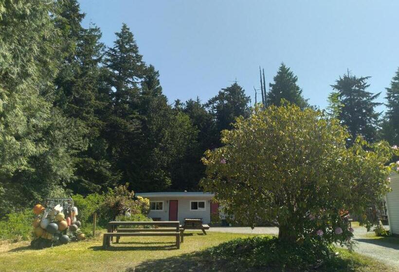 Люкс, Dolphin Motel