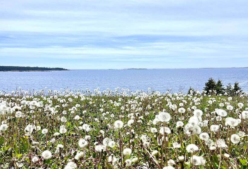 جناح مطلّ علي البحر, North Star Beach Suites