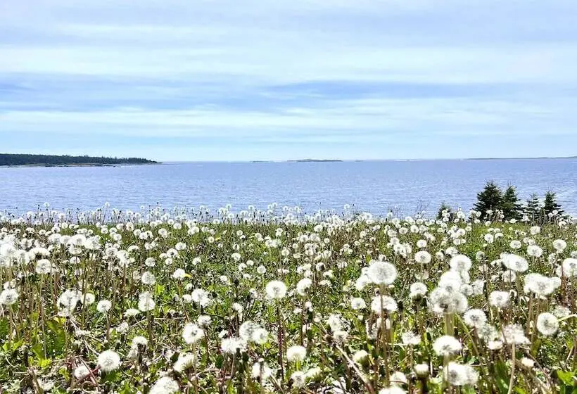 Sviitti Merinäkymä, North Star Beach Suites
