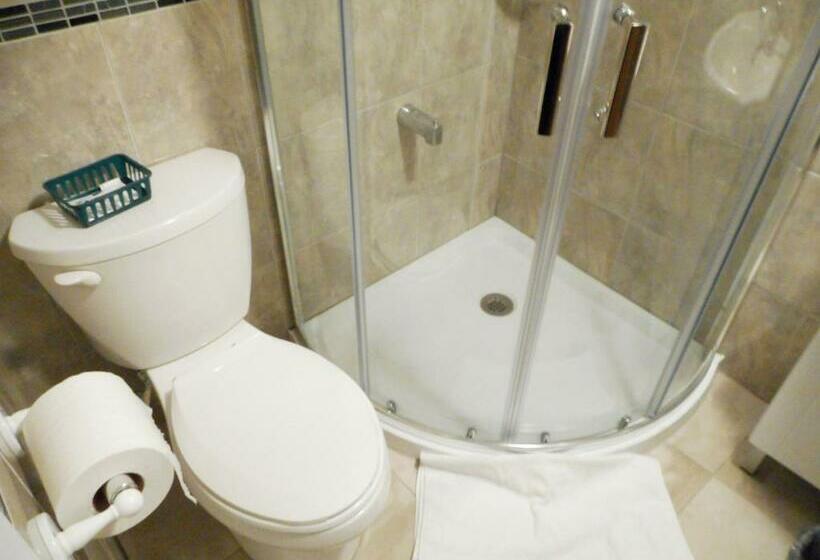 スタンダードルーム, Victor