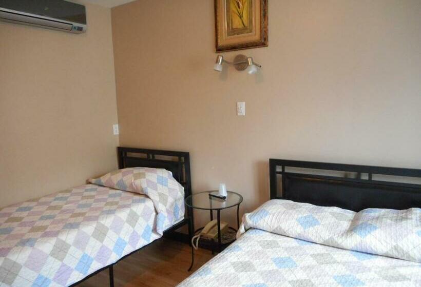 スタンダードルーム, Victor