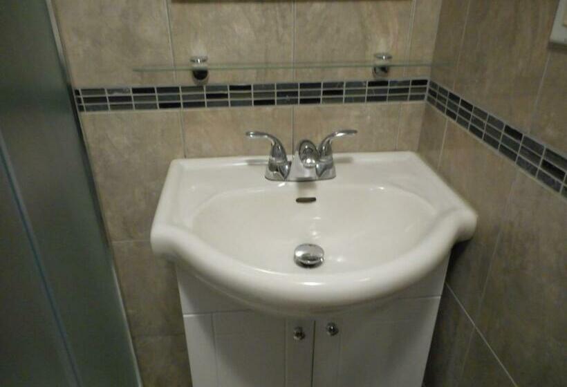 スタンダードルーム, Victor