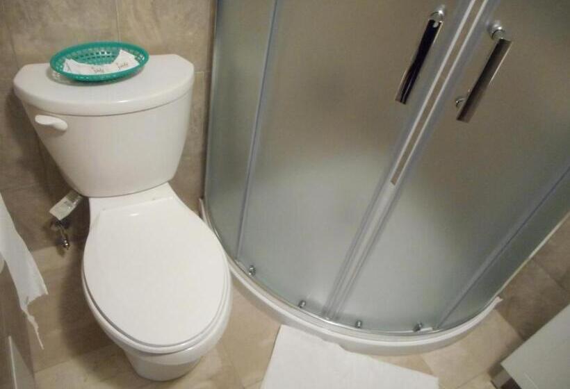 スタンダードルーム, Victor