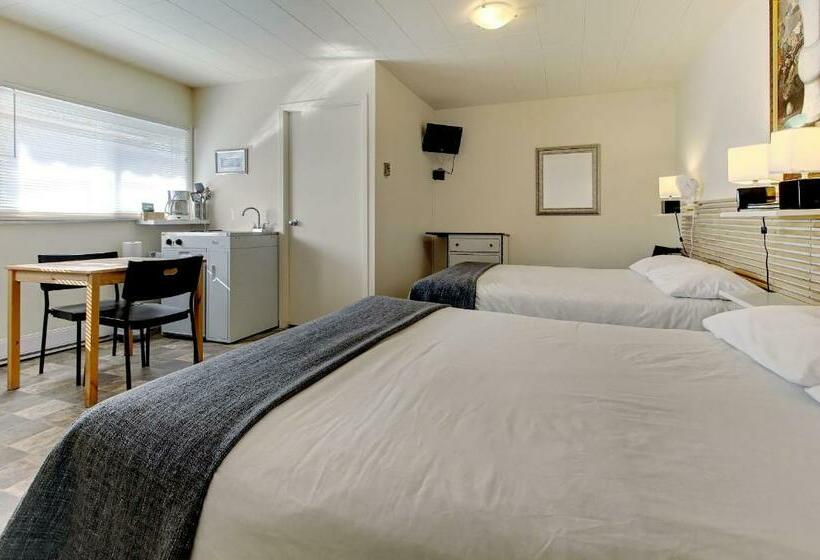带2个双人床的标准工作室, Motel Appartements Le Saint Patrick